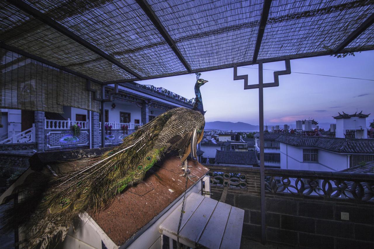 Yinfeng Hotel Dali  Dış mekan fotoğraf